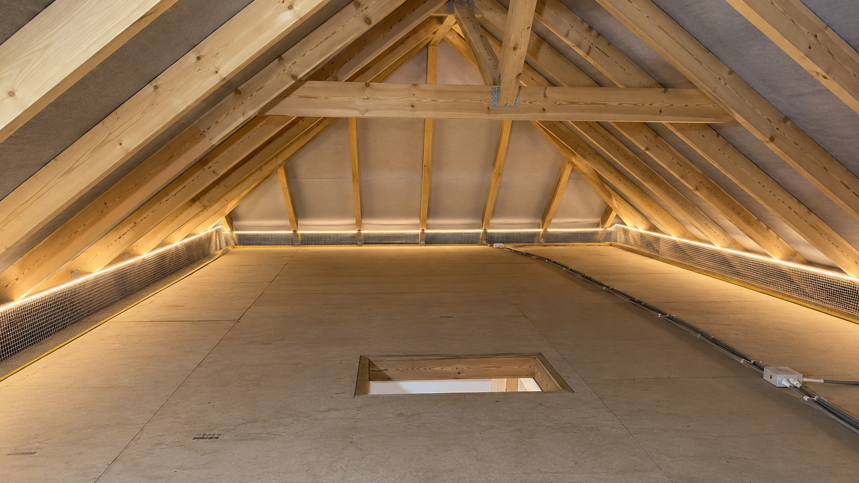 Rodent Proofing in Coventry